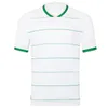 Irlanda Soccer Jersey 2024 Euro Cup Kit para niños Robinson Obafemi Local Visitante 24 25 Calificador Classy Special 2025 Camiseta de fútbol Verde Blanco Ferguson Browne Brady