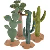 Fiori decorativi Cactus Muschio Modelli finti Paesaggio spinato Decorazioni per il desktop Pianta artificiale Piante per statue modellabili in plastica spinose