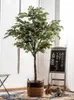 Decorative Flowers Fake Trees Green Plant Indoor Shop Landscape Landscaping Decoration Floor Bonsai