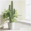 Fiori decorativi ghirlande delicate cactus Modello di cactus Ornamento di pasta di piccole piante in pasta simulata Delivery Delivery Home Home Gar Dhnna