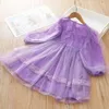 Girl Dresses 2024 Spring And Summer Dress Purple Gauze Fashion Toddler Clothes