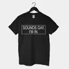 レディースTシャツは、LGBTレディースTシャツのカジュアルファンTシャツレディースハラジュクグラフィックTシャツ240322でゲイIMをサウンドサウンド