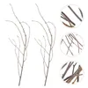 Decorative Flowers Birch Branch Decoration Natural Branches For Vase Plants Small Dried Ornament