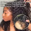 4c randen Baby Natuurlijke haarlijn Glueless vooraf geplukte 30 inch Kinky Kinky Curly Front Human Hair 13x4 13x6 HD Lace frontale pruik originele editie