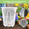 Planters 3pcs/set Transparent Plastic Flower Pots 14cm Indoor Outdoor Home Garden Plant Flower Growth Vase With Drain Holes And Plates
