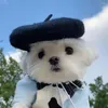 Abbigliamento per cani Moda Pelle Regolazione invernale Berretto per animali Cuffie per orecchie Copricapo Berretto