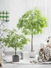 Fleurs décoratives salon imitation arbre verdure grands articles de bonsaï au sol