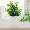 Fiori decorativi 4 pezzi Pianta artificiale in vaso Decori finti Piccole piante bonsai Mini ornamenti Casa finta per interni