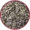 Pennington Select Black Oil Suower Seed Mangime per uccelli selvatici secchi, 40 libbre.Borsa, 1 confezione