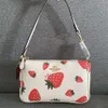 Borsa a tracolla Designer Best-seller Brand Summer New Noulita19 Borsa Strawberry Print Chain Small Square Handheld per le donne