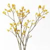 Dekorativa blommor bevarade Kangaroo Forest Series Natural Real med grenar grossist True Flower Bundles Party Home Office Decor