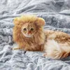 Hundkläder Cat Costume Cute Lion Mane Wig Hat Cosplay Cloths Caps Dress Up Puppy Kitten Halloween Party Decoration Supplies