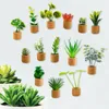 14pcsset aimants pour réfrigérateur mignon plante en plastique cactus plante succulente po aimant bouton réfrigérateur message autocollant décor à la maison 240315