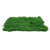 Decorative Flowers Artificial Fake Moss Micro Landscape Accessory Area Rugs Turf Grass Realistic Plant Garden