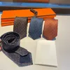 Lyxdesigner slipsar män silke slips