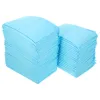 Pañales 50/100pcs Pet Pad Diaper Dog Training Pee Pee almohadillas de entrenamiento de mascotas súper absorbentes PEE PEE PET MAS