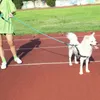 ハーネスドッグカラー犬用犬のリーシュリードペットナイロントレーニングランニングウォーキングセーフティマリアクライミングリースロープサプライズセズ