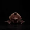 Plüschpuppen Niedliche Simulation Megasoma elephus weich gefüllter Plüschtierkäfer echtes Tier Primitivmodellpuppe Audlt Geschenk Q240322