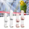 Other Bird Supplies Automatic Water Dispenser Leakproof Drinking Equipment Pet Feeder