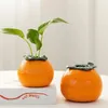 Vases Not Easy Deformation Orange Hydroponic Vase Tea Tank Mini Cute Fruit Planter Shape Plant Flower Pot Small Lab