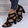 Sandals Women Pumps Sandals Summer Open Toe High Heels Low Block Heel Shoes Gladiator Zipper Thick With Sandals Wedges 2023 Mules Shoes