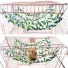 Other Bird Supplies Climbing Ladder Braided Washable Rope Net For Birds Resting Toys With 4 Metal Hooks Ferrets Hedgehog