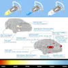 Diğer Araba Işıkları 1 Çift 12V 55W H3 6000K Farlar Koyu Mavi Cam Yedek Araba Halojen Ampuller Süper Brightl204