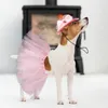 Ropa para perros Vestidos cortos Traje de Pascua Falda de tutú con sombrero Cachorro Chicas Set Ropa Pink Eater Disfraces Princesa