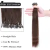 Extensions Snoilte 1G/Strand Nano Rings Micro Links Human Hair Extensions Micro Bead Pre Bonded 1624 tum 50 st rak naturlig blondin