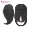 Bangs Straight Human Hair Bangs Clip in Hair Extensions 100% Remy Hair Clip On Bangs Fringe 3 Clips Hair Pieces for Women 7 Colors 20G