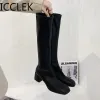 Stivali stivali da donna stivali inverno tallone spesso fondo lungo cotone tacco alto ginocchia ginocchia di moda calda classica sexy wild botas mujer