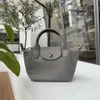 роскошная сумка-чемпион Женские длинные сумки champ Дизайнерская сумка Crossbody longchamp тотализаторы Плечи Модные лоскутки champ Дизайнеры с длинными плечами champs