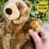 Grizzly Bear Plush Toy Brown Plushie Peluche Lifelike Stuffed Animals Simulation Doll Kawai 240321