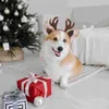 Vêtements de chien de Noël pour animaux de compagnie Bandeau de cheveux légers Fermoirs Chapeau pour la fête Cosplay Costume de chat Décor Accessoire Prop Animaux de compagnie