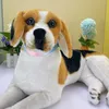 ファッションパピーカラーポリエステルウェビング犬の襟色コントラスト犬襟のための襟大きな犬