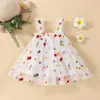 2024 Baby Girl Clothes Multi Coloured Embroidered Floral Mesh Camisole Cute Baby Girl Dress Party Princess Fluffy Dresses 240322