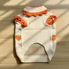 Ropa para perros suéter invierno gato abrigo cachorro ropa pequeña chihuahua yorkshire terrier pomeranian maltés caniche bichon ropa para mascotas