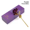 Fleurs décoratives mode romantique amoureux cadeaux mariage trempé longue tige 24K feuille d'or Rose fleur saint valentin cadeau artisanat