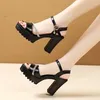 Dress Shoes Rhinestone Sandals Women 2024 Ankle Strap Open Toe Block Heels Pumps Summer High Platform Black White