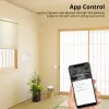 Controllo Zemismart Tuya Zigbee 3.0 Hub Zigbee Gateway Smart Home Bridge con presa cavo di rete Connessione cablata Controllo vita intelligente