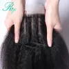 Perücken Riya 4x4 Seide Basis Verschlüsse Kinky Straight Human Hair Preplucked Haaransatz mit Babyhaar Brasilianer Yaki Straight Human Hair