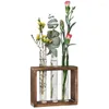 Vases Tube à essai de vase de fleur de verre clair pour les décors de table à la maison de bureaux