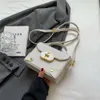 Projektant Luksusowe modne torby na ramię francuska worek damski na Instagram Modna i wszechstronna torba na pudełko jedno ramię Crossbody Bag damski
