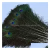 Articles de nouveauté Matériaux décoratifs élégants Plumes Belles plumes environ 25 à 30 cm 4148 Drop Delivery Home Garden Decor Dhcpu