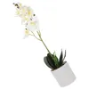 Dekorativa blommor konstgjorda blommor phalaenopsis simulerade krukväxter dekorera ros faux simulering falska ornament livlig