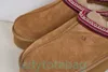 Designer med Box Tazz Slippers Tazz Tasman tofflor Chestnut Wool tofflor Classic Super Uggg Mini Thick Soled Boots Winter Men's Women's Plush Shoes 757777