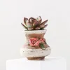 Plantadores Coreano Ins Mini Pintado Floret Cerâmica Suculenta Vaso de Flores Plantador Bonito Cor Verde Planta Polegar Vaso Casa Varanda Jardinagem