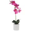 Dekoratif çiçekler yapay çiçek phalaenopsis sahte bitki bitkileri gül dekor küçük bonsai sahte hayat benzeri saksı süslemeleri