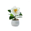 Dekorativa blommor Simulering Krukväxter Växtrum Dekor Enkel Head Camellia Bonsai Artificial Flower Office Desktop Ornament Fake Plants