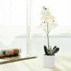Dekorativa blommor konstgjorda blommor phalaenopsis simulerade krukväxter dekorera ros faux simulering falska ornament livlig